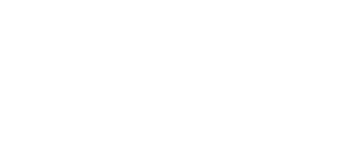 Dennenborgh Group